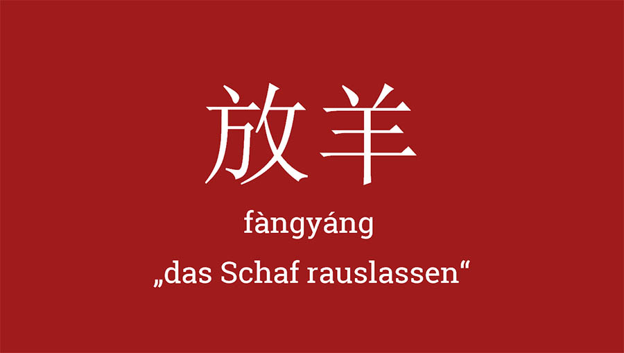 Internetsprache fangyang